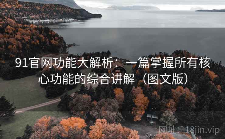 91官网功能大解析:一篇掌握所有核心功能的综合讲解(图文版)