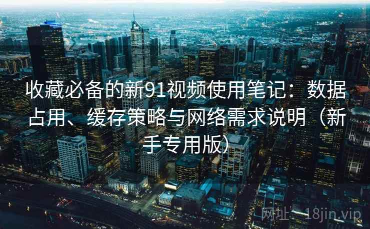 收藏必备的新91视频使用笔记:数据占用、缓存策略与网络需求说明(新手专用版)