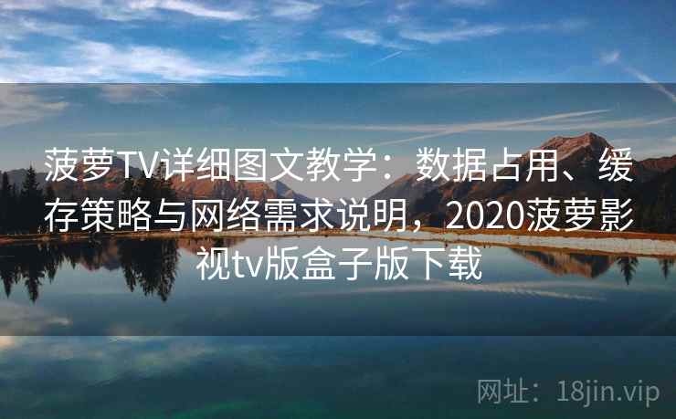 菠萝TV详细图文教学：数据占用、缓存策略与网络需求说明，2020菠萝影视tv版盒子版下载