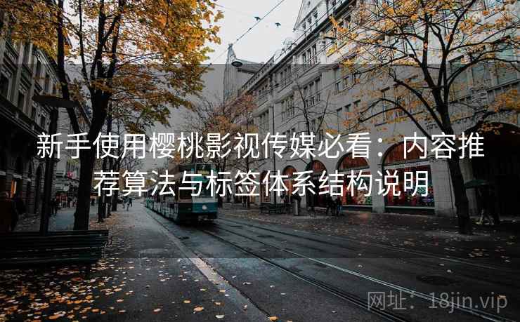 新手使用樱桃影视传媒必看：内容推荐算法与标签体系结构说明  第2张