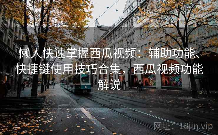 懒人快速掌握西瓜视频：辅助功能、快捷键使用技巧合集，西瓜视频功能解说