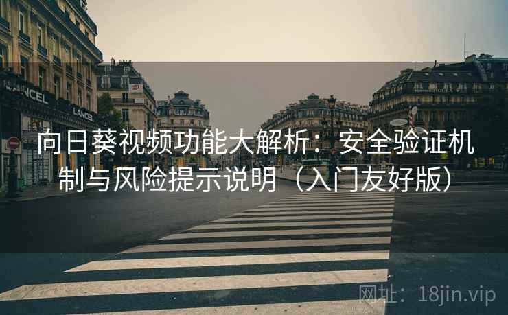 向日葵视频功能大解析：安全验证机制与风险提示说明（入门友好版）