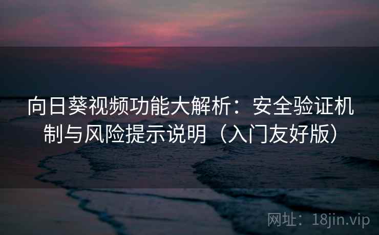 向日葵视频功能大解析：安全验证机制与风险提示说明（入门友好版）