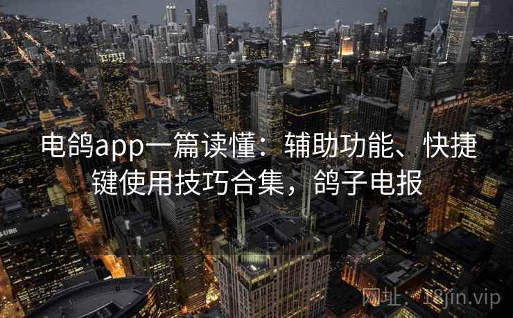 电鸽app一篇读懂：辅助功能、快捷键使用技巧合集，鸽子电报  第2张