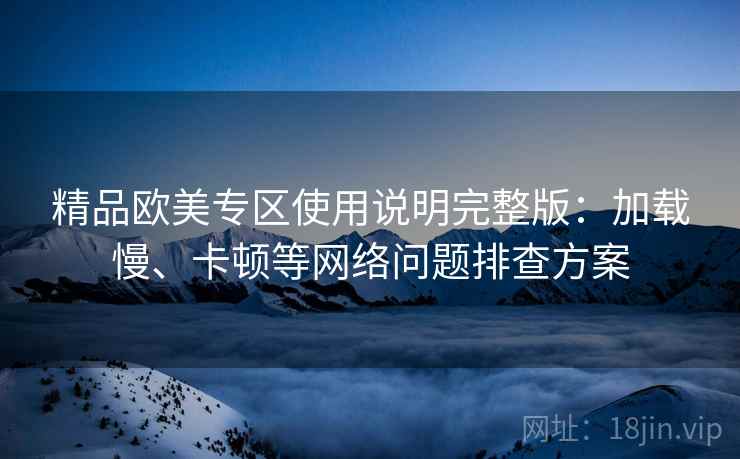 精品欧美专区使用说明完整版：加载慢、卡顿等网络问题排查方案  第1张