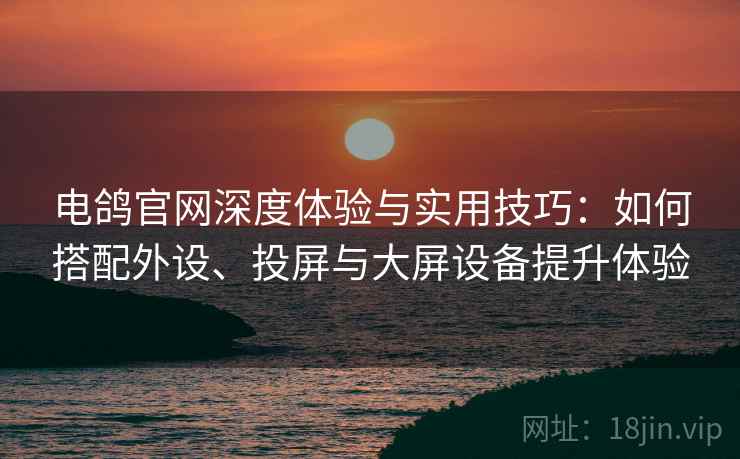 电鸽官网深度体验与实用技巧：如何搭配外设、投屏与大屏设备提升体验