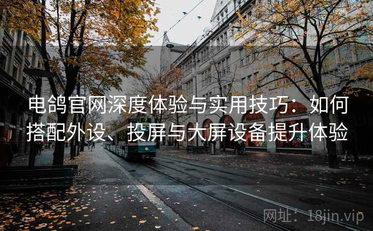 电鸽官网深度体验与实用技巧：如何搭配外设、投屏与大屏设备提升体验