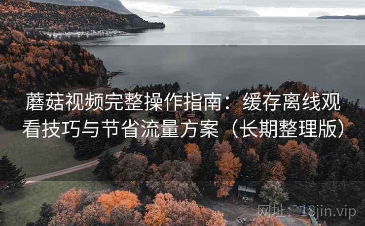 蘑菇视频完整操作指南:缓存离线观看技巧与节省流量方案(长期整理版)