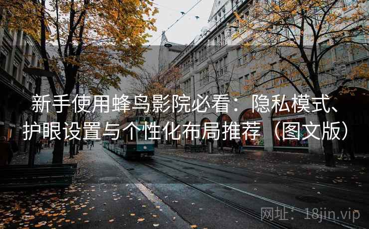 新手使用蜂鸟影院必看:隐私模式、护眼设置与个性化布局推荐(图文版)