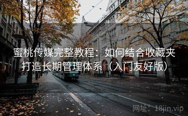 蜜桃传媒完整教程:如何结合收藏夹打造长期管理体系(入门友好版)