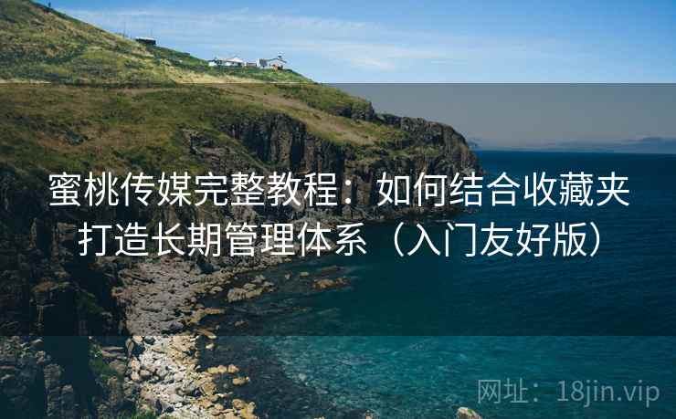 蜜桃传媒完整教程:如何结合收藏夹打造长期管理体系(入门友好版)
