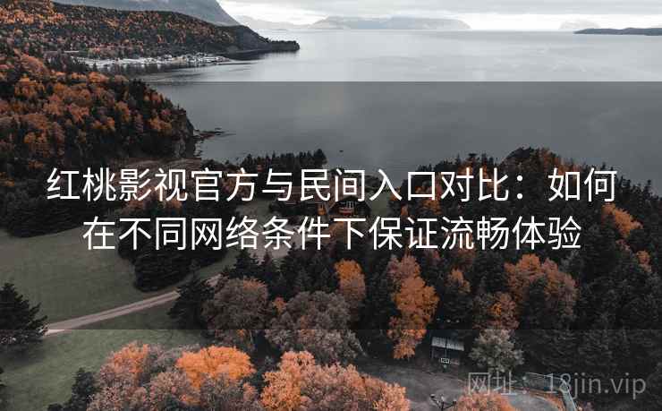 红桃影视官方与民间入口对比:如何在不同网络条件下保证流畅体验 第2张 红桃影视官方与民间入口对比:如何在不同网络条件下保证流畅体验 第2张