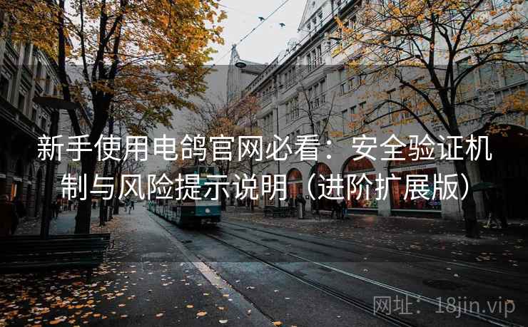 新手使用电鸽官网必看:安全验证机制与风险提示说明(进阶扩展版)