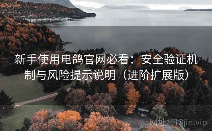 新手使用电鸽官网必看:安全验证机制与风险提示说明(进阶扩展版)