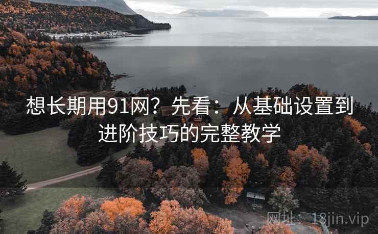 想长期用91网?先看:从基础设置到进阶技巧的完整教学