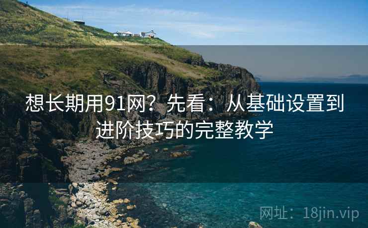 想长期用91网?先看:从基础设置到进阶技巧的完整教学