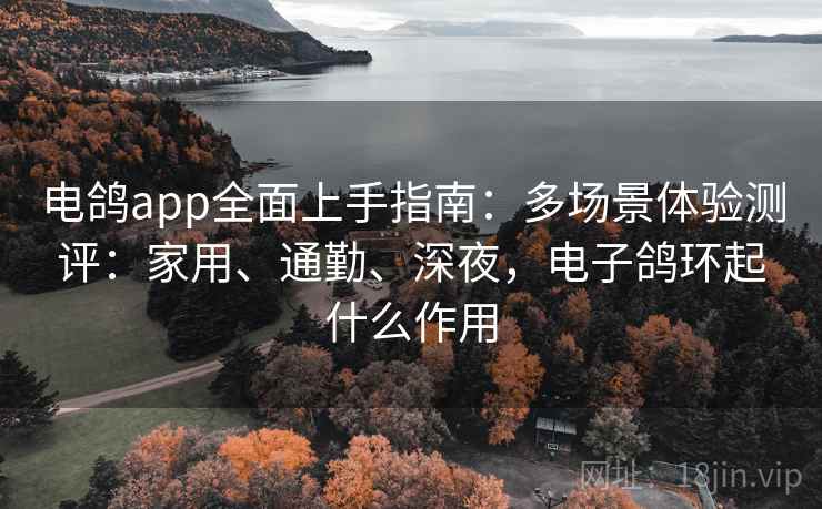 电鸽app全面上手指南:多场景体验测评:家用、通勤、深夜,电子鸽环起什么作用
